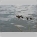 2010-07-04 - 13-59-40.JPG